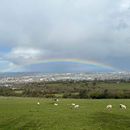 Domek alpejski The In The Woods Dublin