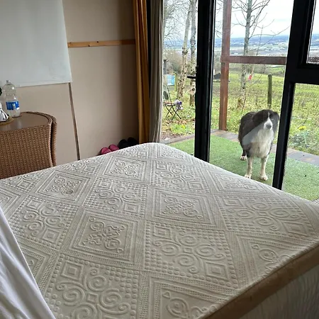 Chalet The In The Woods Dublin