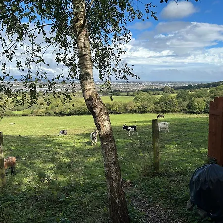 The In The Woods Domek alpejski Dublin