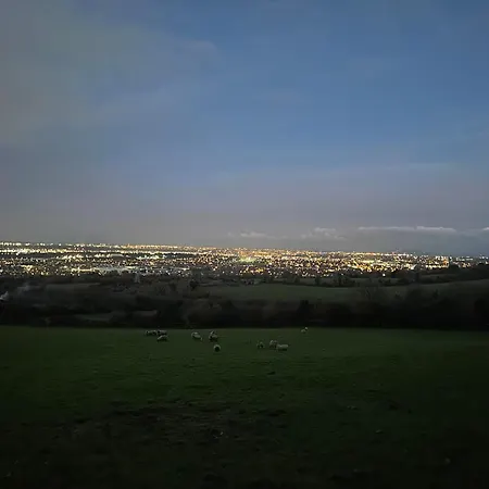 The In The Woods Dublin