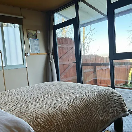 The In The Woods Dublin