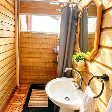 Chalet The In The Woods