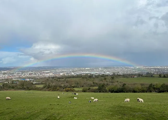 Chalet The In The Woods Dublin