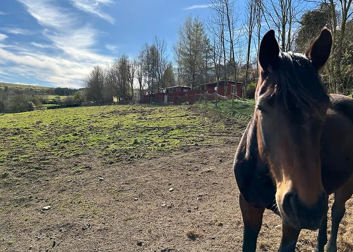 Chalet The In The Woods *