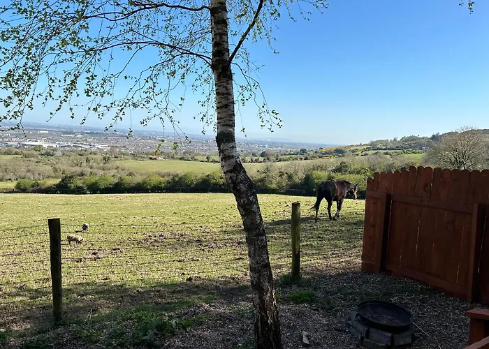 Chalet The In The Woods
