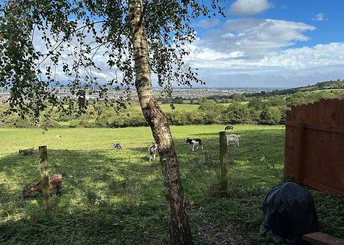 The In The Woods Chalet Dublin