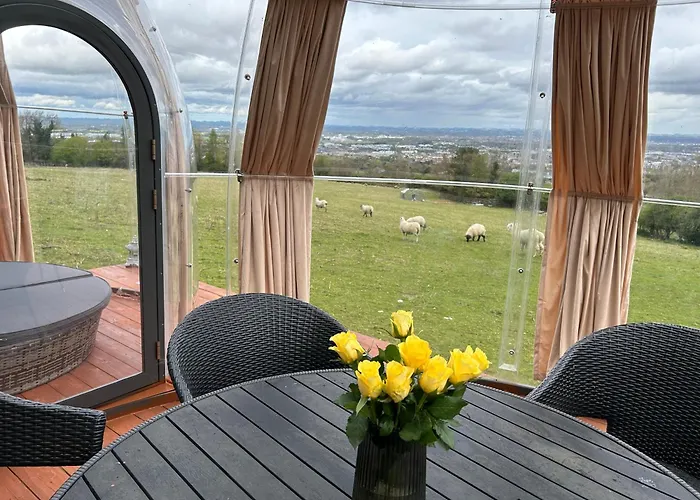 The In The Woods * Dublin