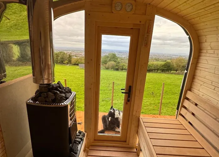 Chalet The In The Woods *