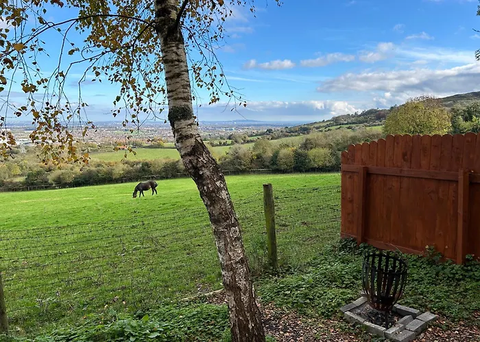 The In The Woods Chalet