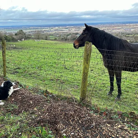 The In The Woods شاليه *