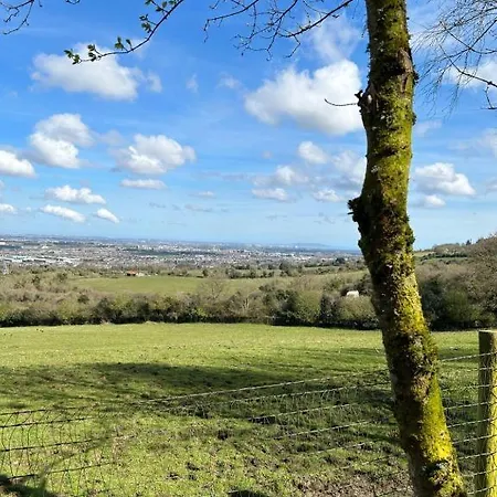 شاليه The In The Woods *