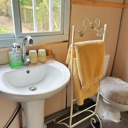 شاليه The In The Woods دبلن