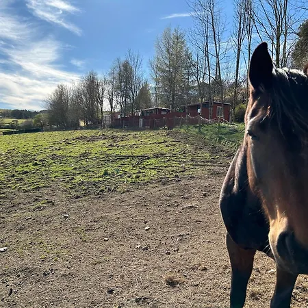 شاليه The In The Woods *