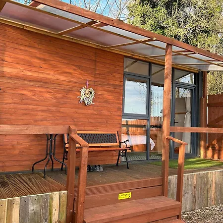 The In The Woods Dublino