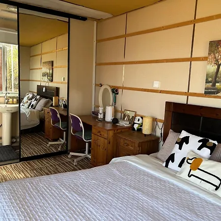 The In The Woods دبلن