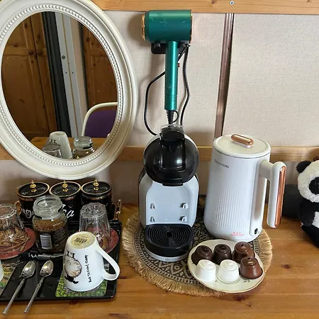 The In The Woods شاليه دبلن