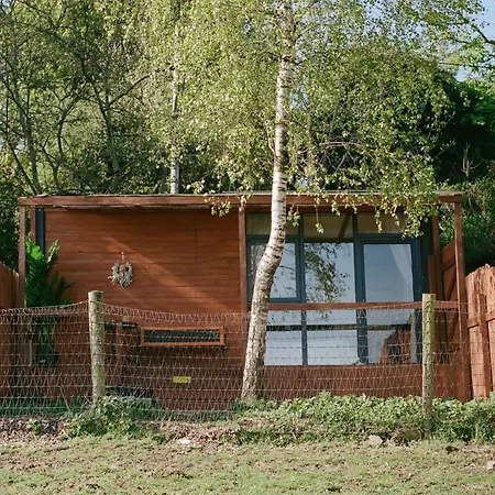 The In The Woods * دبلن