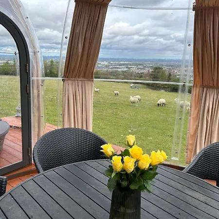 The In The Woods * دبلن