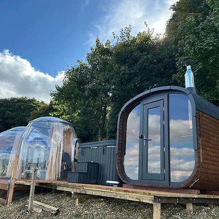 شاليه The In The Woods دبلن