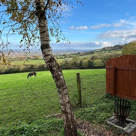 The In The Woods شاليه