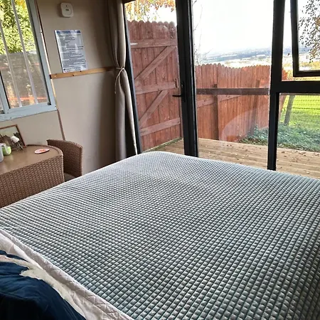 The In The Woods * دبلن