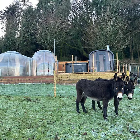 The In The Woods * Dublino