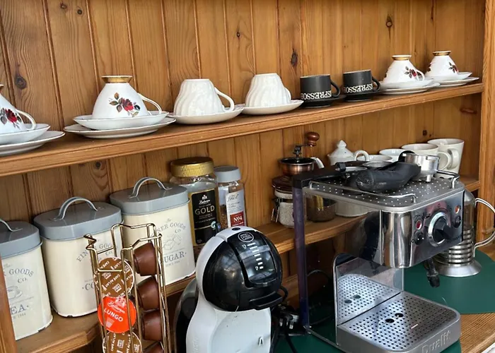 Chalet The In The Woods