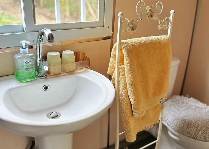 Chalet The In The Woods Dublino