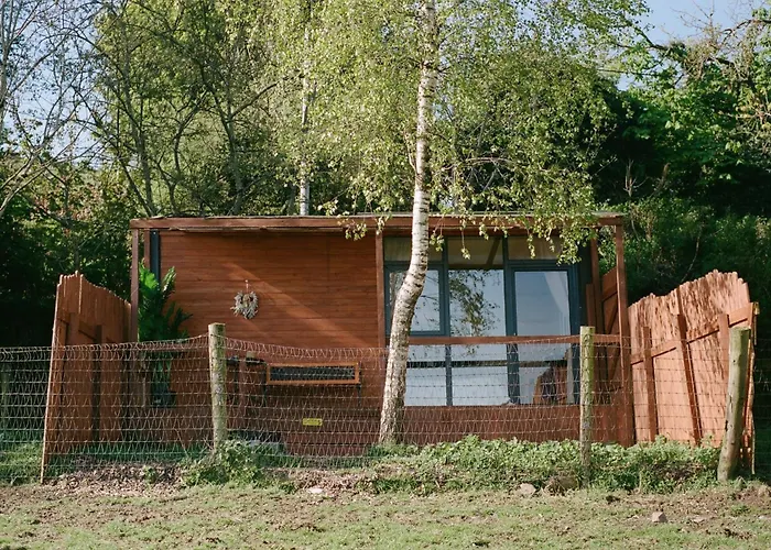 The In The Woods * Dublino