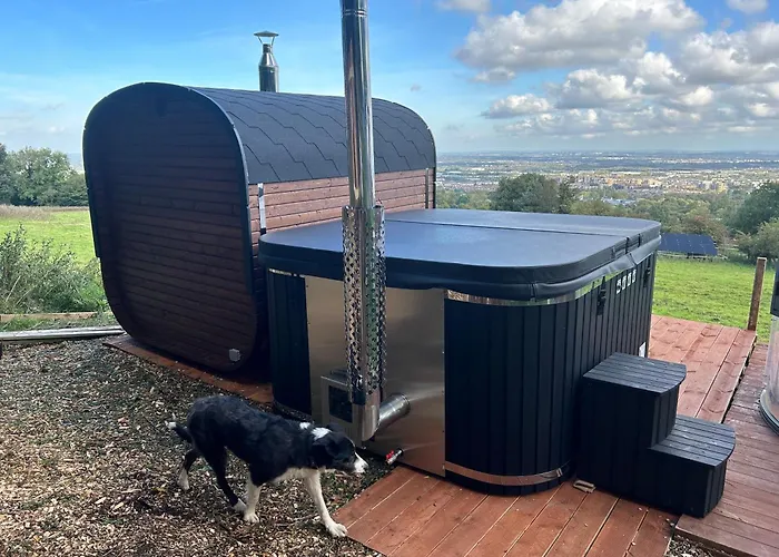 Chalet The In The Woods