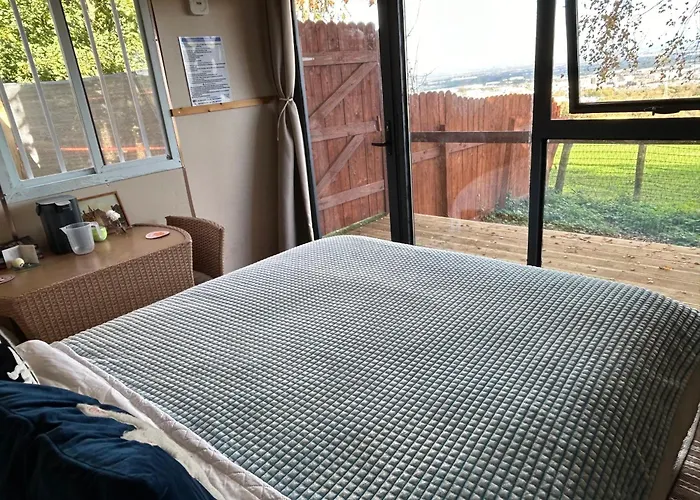 The In The Woods * Dublino