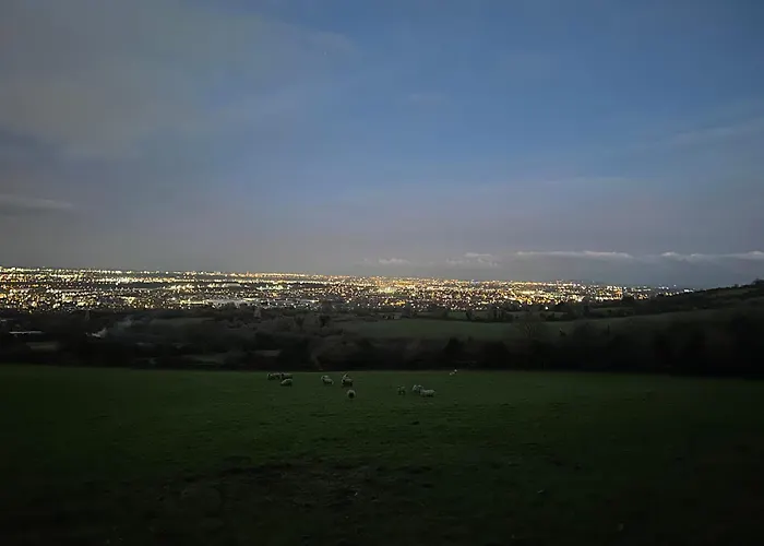 The In The Woods Dublino