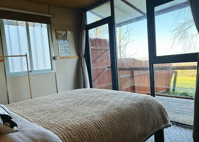 The In The Woods Dublino