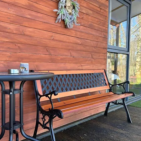 The In The Woods 都柏林