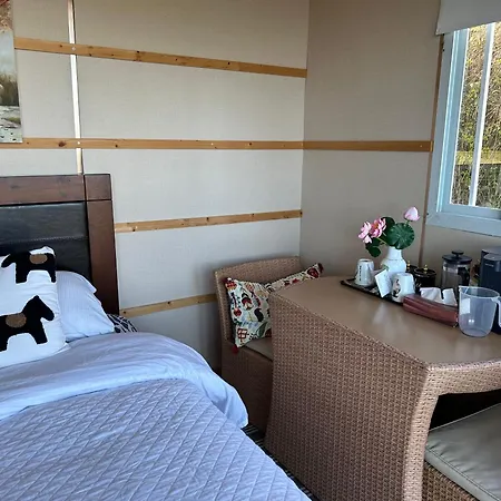 木屋 The In The Woods 都柏林