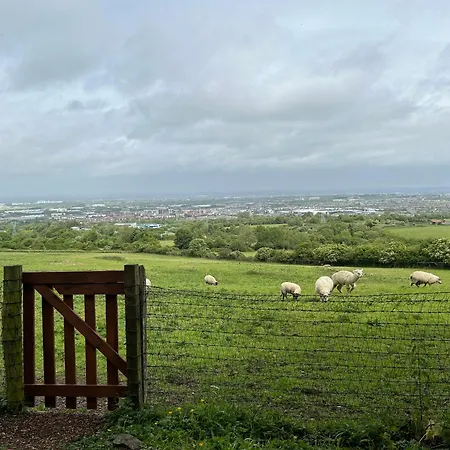 The In The Woods 都柏林