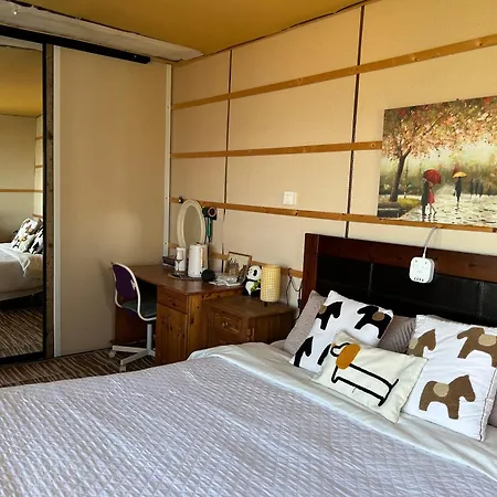 The In The Woods * 都柏林