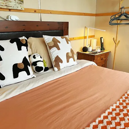 The In The Woods 木屋 都柏林