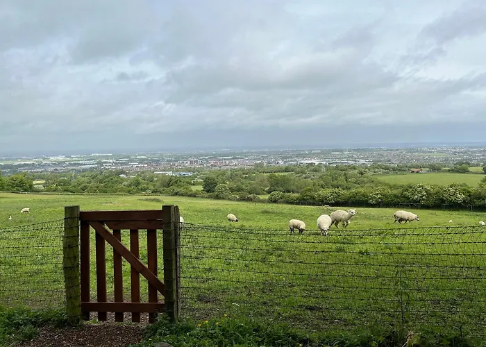 The In The Woods Dublin